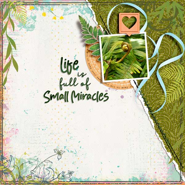 Small-Miracles-webv.jpg