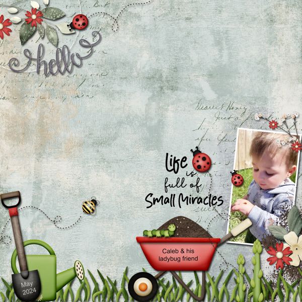 Small Miracles