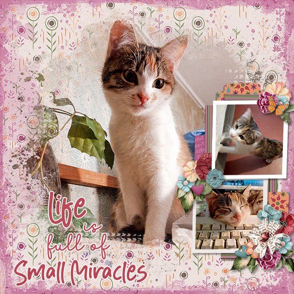 SmallMiracles_ollitko_600.jpg