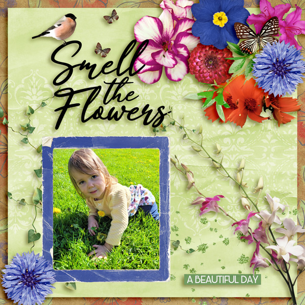 SMELL THE FLOWERS - MAY 2023