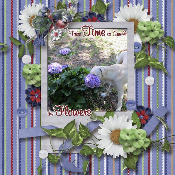 Smell the Flowers