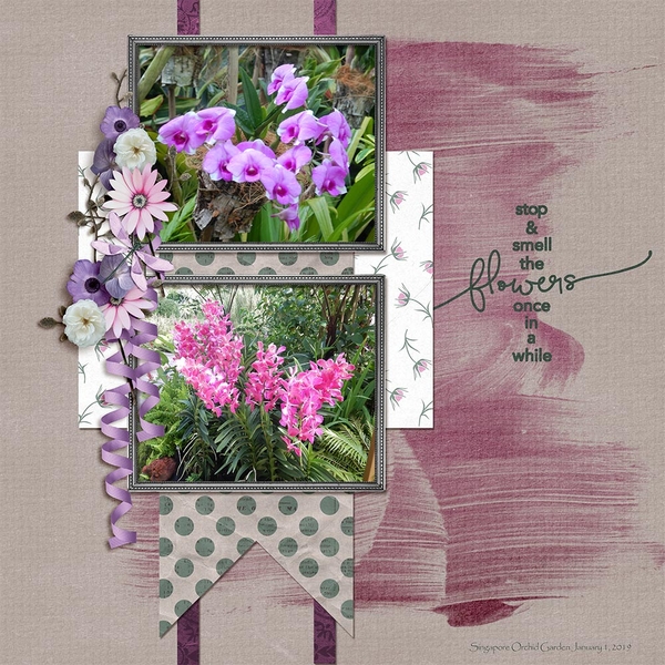 Smell the Flowers