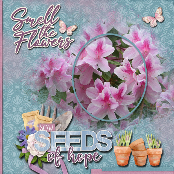 Smell the Flowers