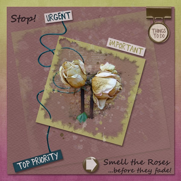 Smell the Roses