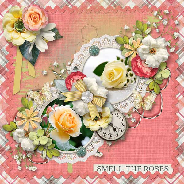 Smell The Roses