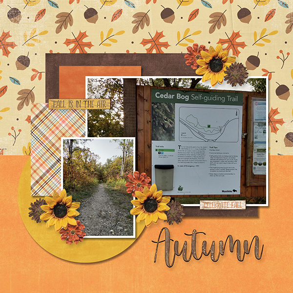 Smells Like Autumn 2