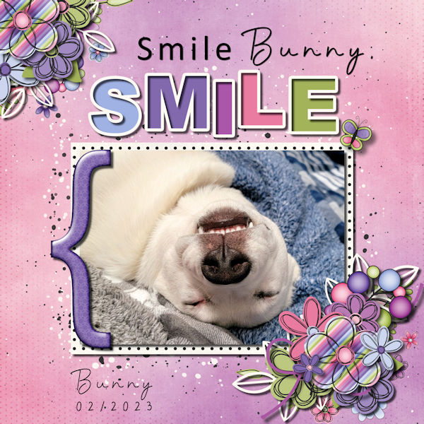Smile Bunny, Smile