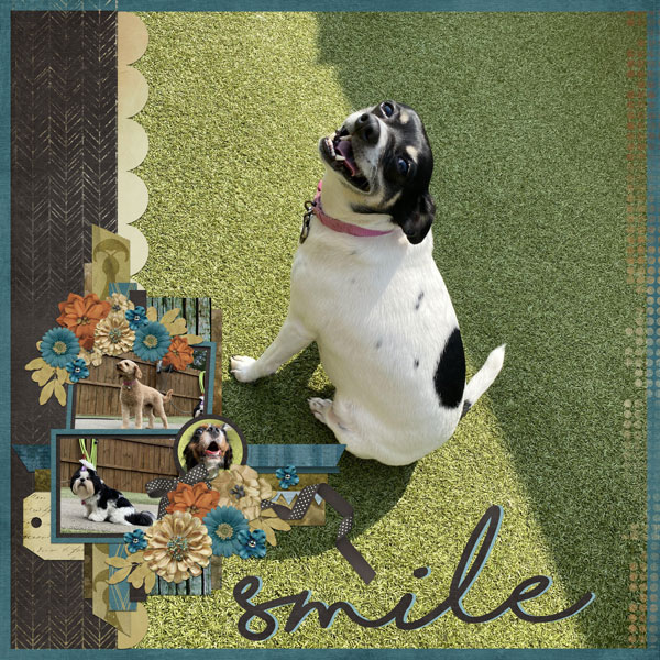 Smile