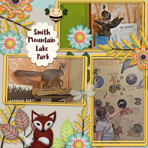 Smith Mountain Lake Park