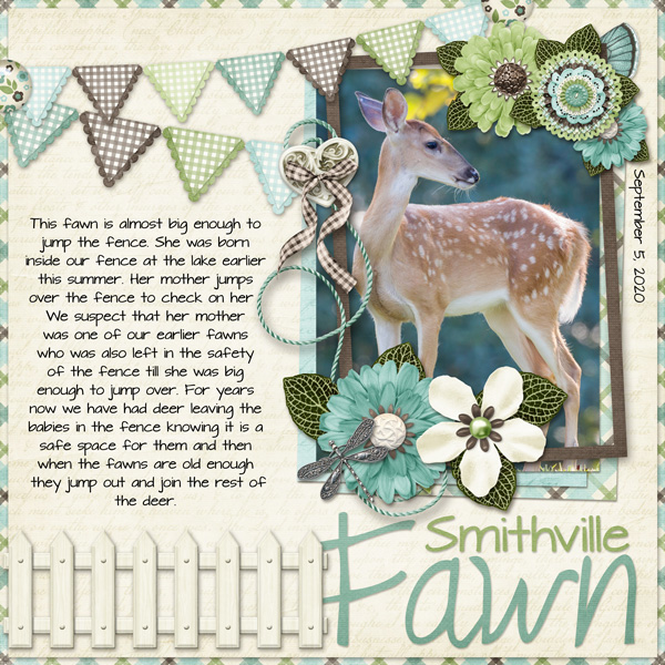 Smithville Fawn