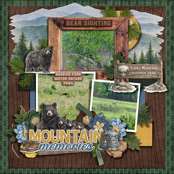 Smoky Mountain Bears