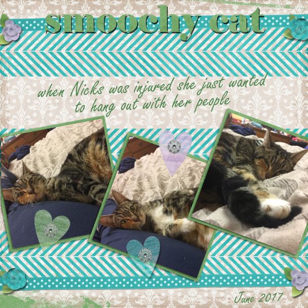 smoochy cat