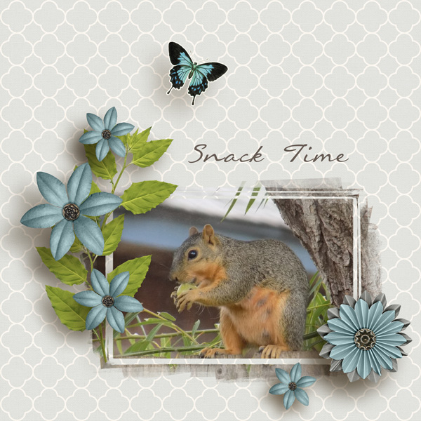 Snack Time