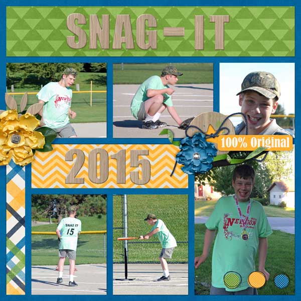 Snag It 2015