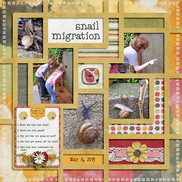 Snail Migration