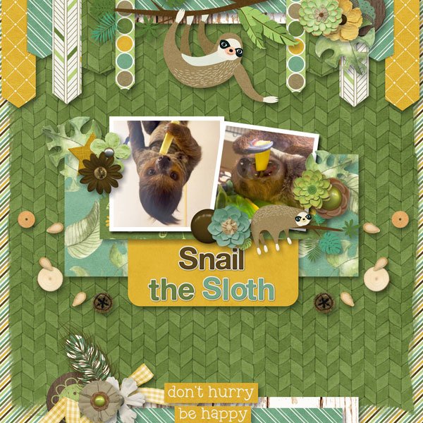 Snail the Sloth