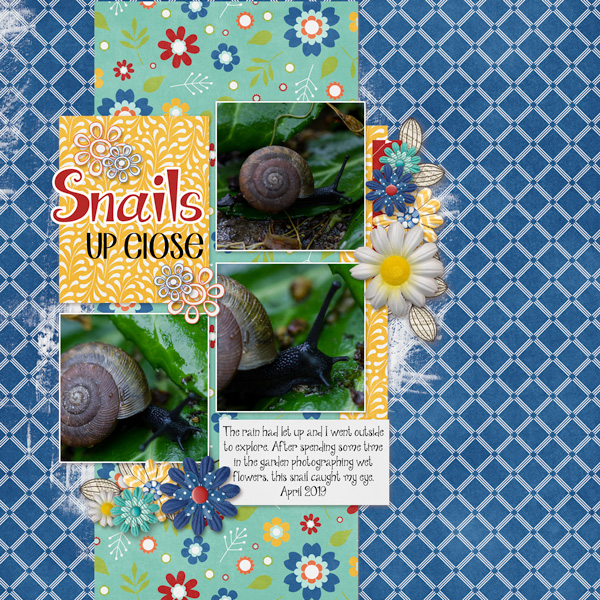 Snails