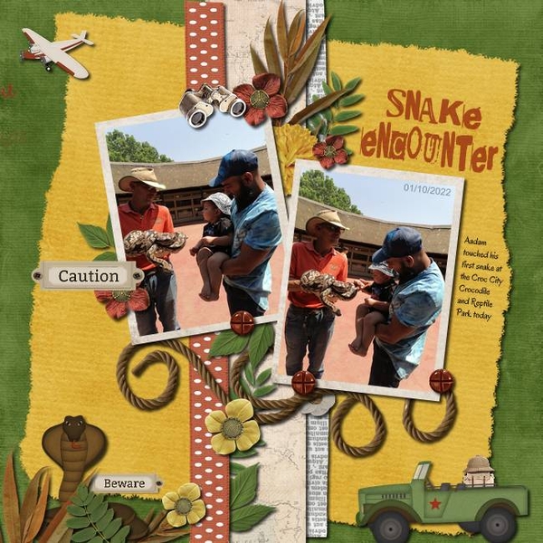 Snake Encounter