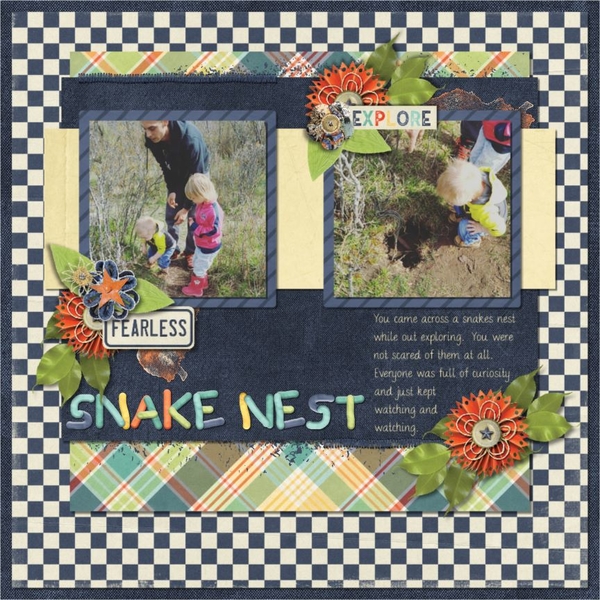 Snake Nest
