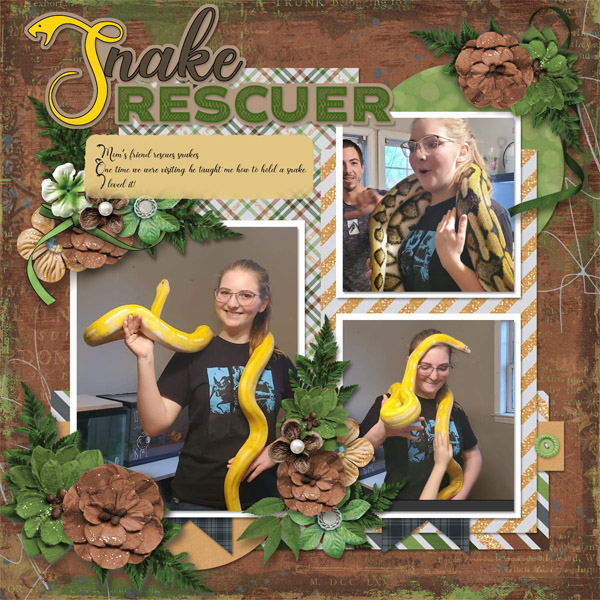 Snake Rescuer