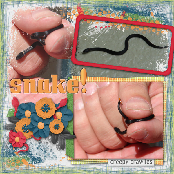 Snake!