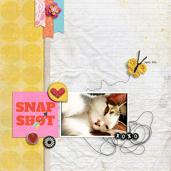 snap shot