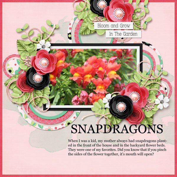 Snapdragons.jpg