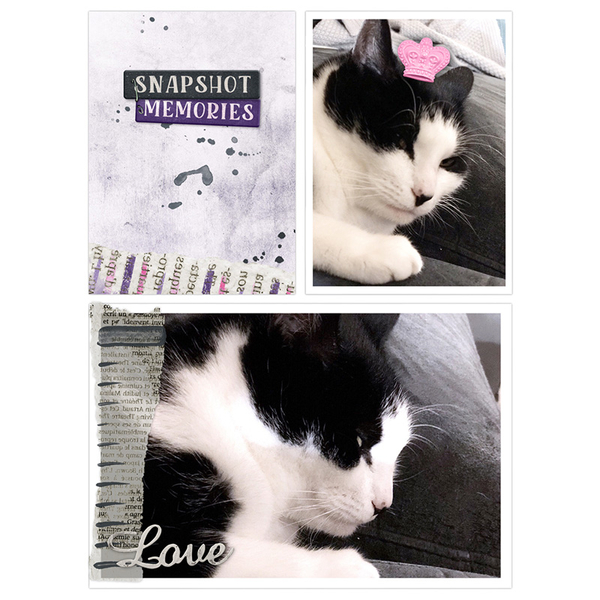 Snapshot memories