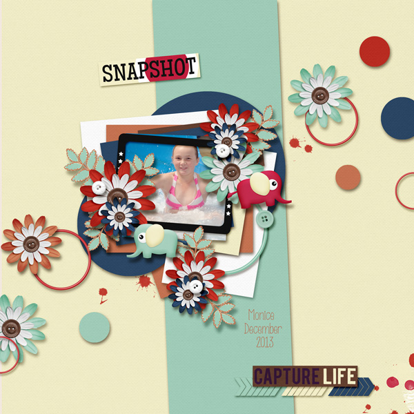 Snapshot