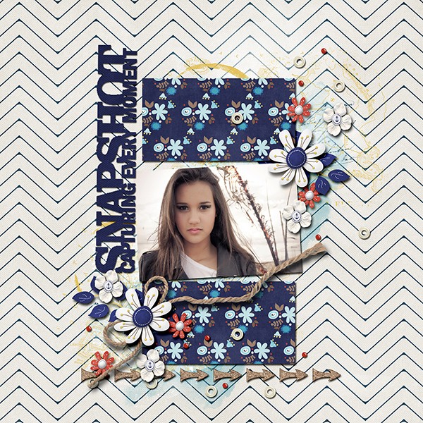 snapshot