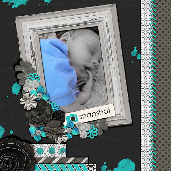 Snapshot