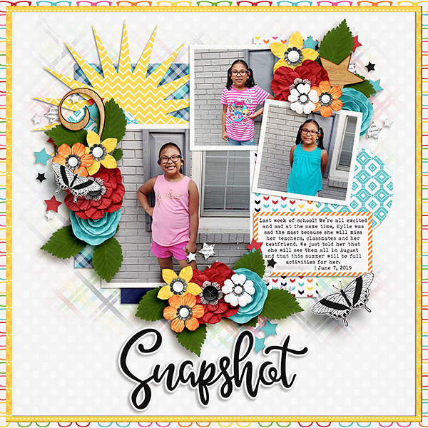 Snapshot