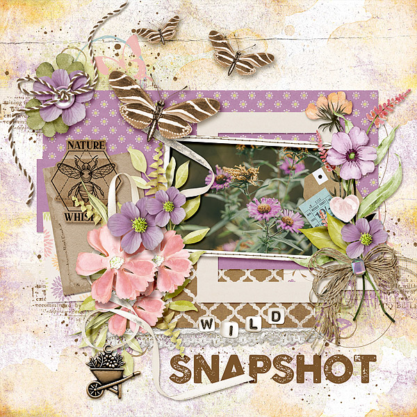 Snapshot