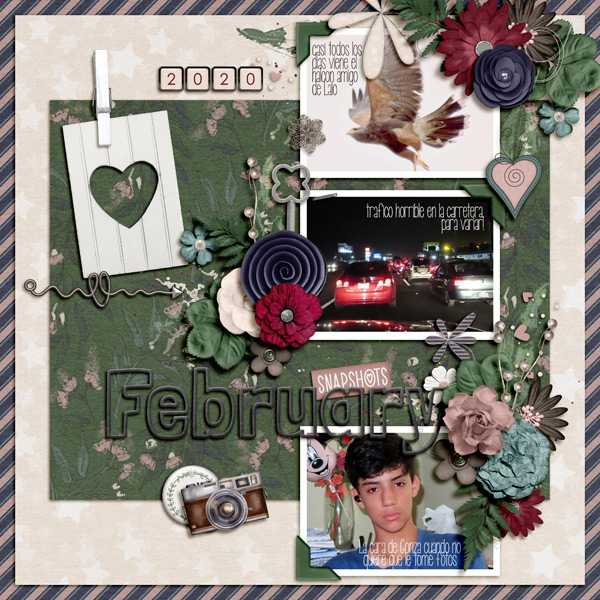 Snapshots Of February