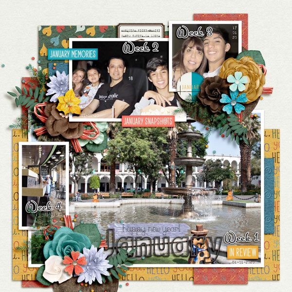 Snapshots Of January