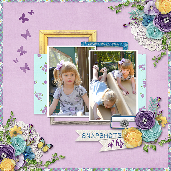 snapshots of life