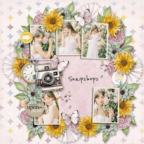 Snapshots of Life