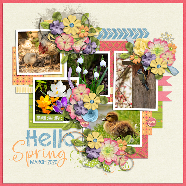 Snapshots of march