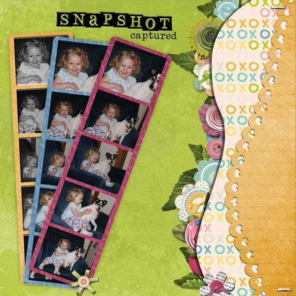 Snapshots