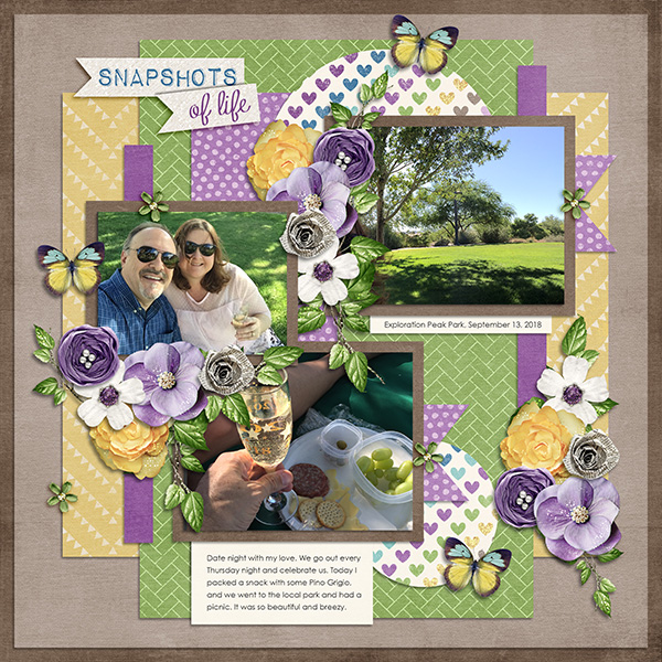 Snapshots