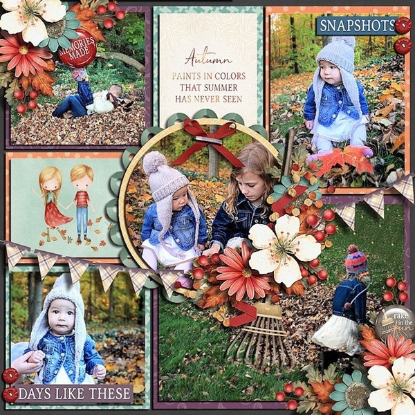 Snapshots