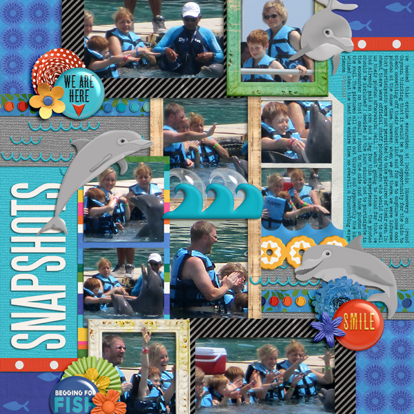 Snapshots