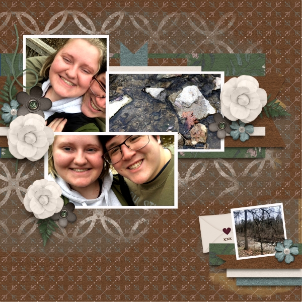 Snapshots