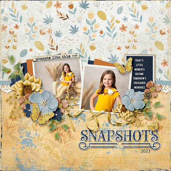 Snapshots