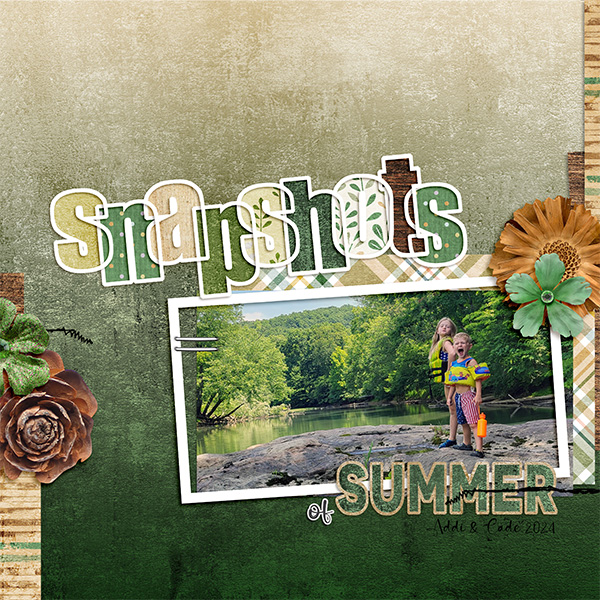 Snapshots