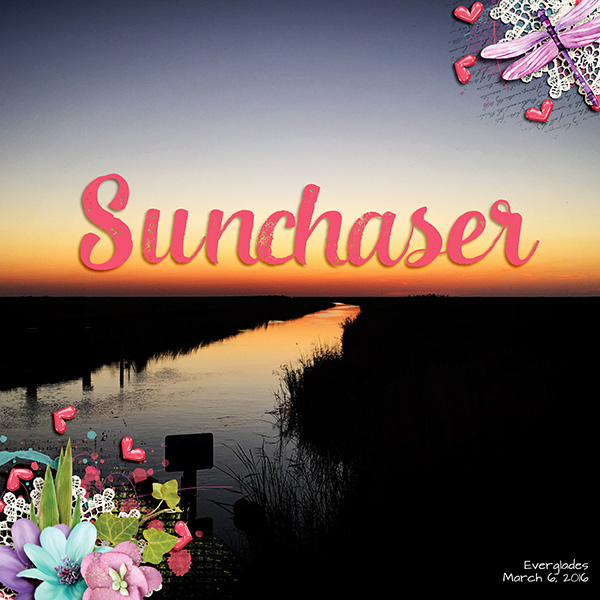 Snchaser