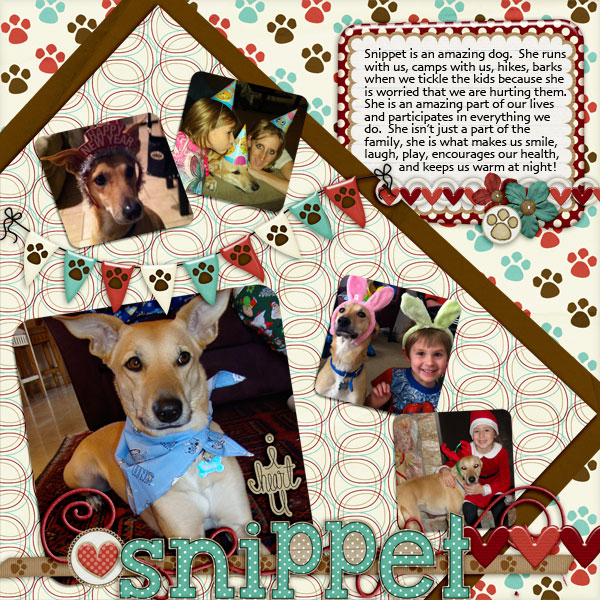 Snippet our Whippet