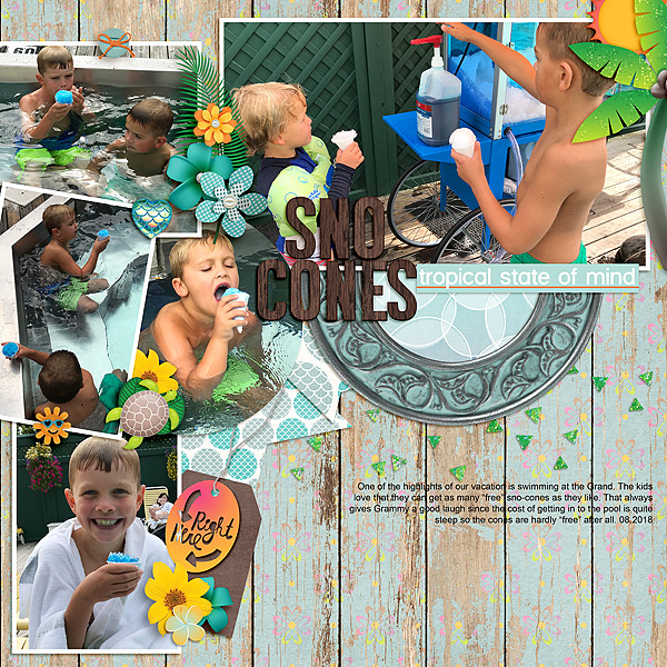 Sno Cones 2018