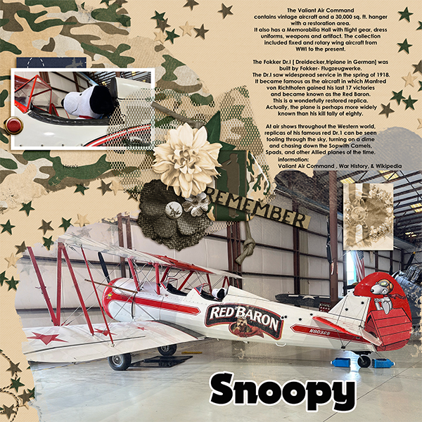 Snoopy and the Red Baron