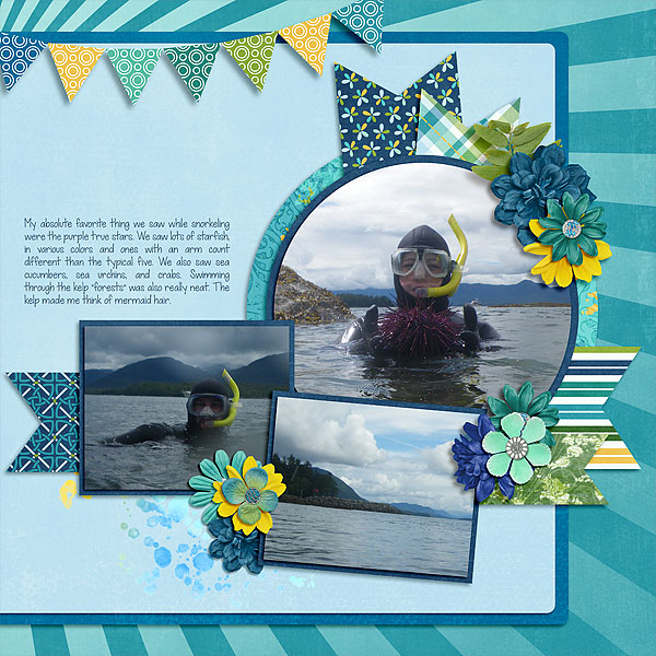 Snorkel Alaska 3